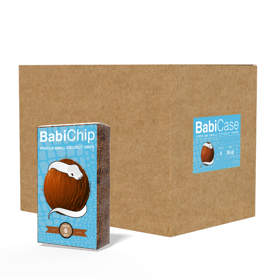 BabiChip Premium Small Coconut Chips