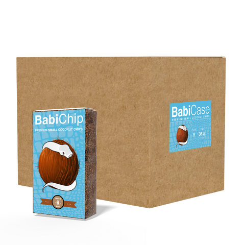 BabiChip Premium Small Coconut Chips