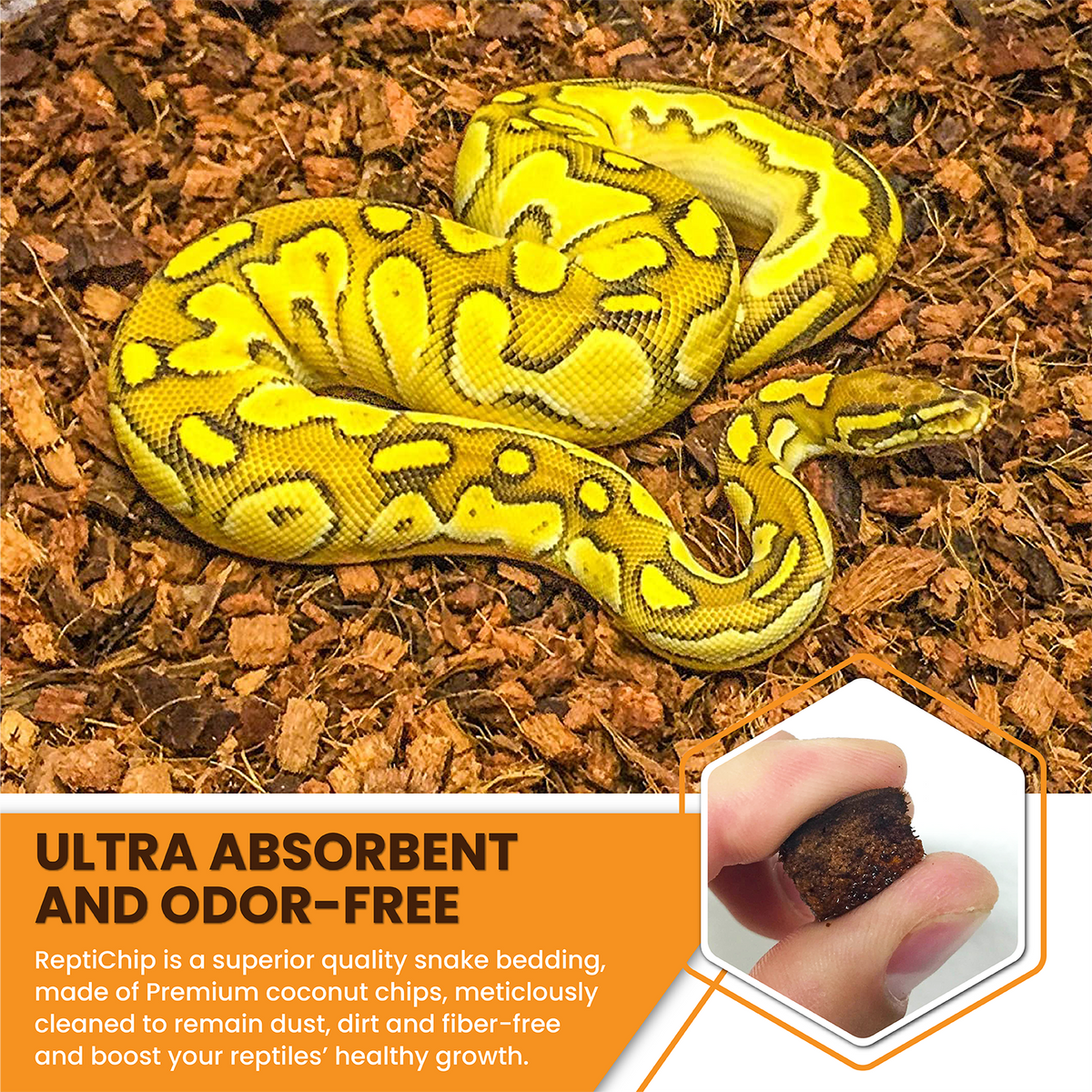 ReptiChip Breeder Blocks (CPU)