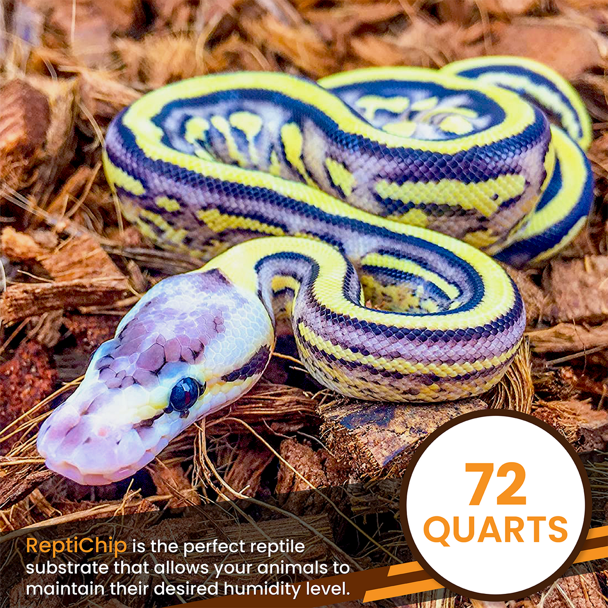 ReptiChip Breeder Blocks (CPU)